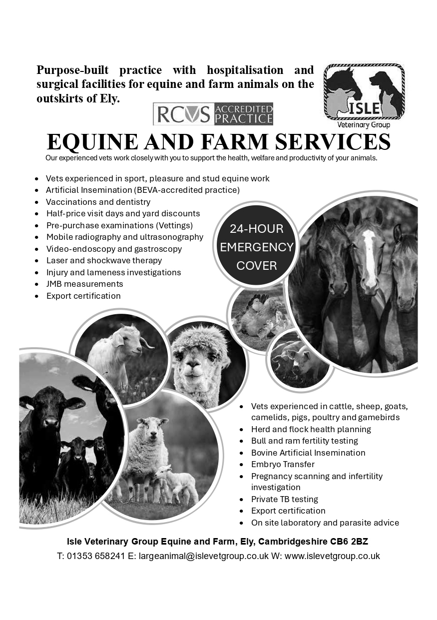 Isle Veterinary Group Equine and Farm